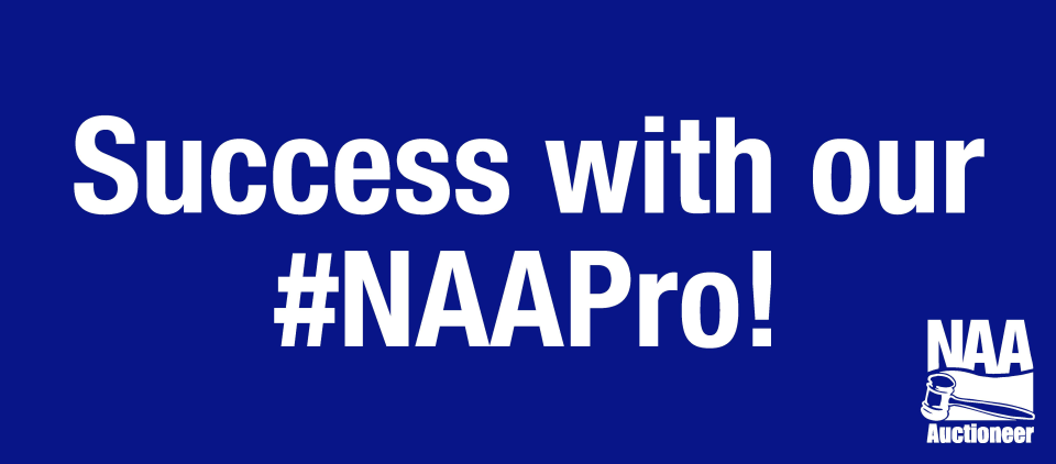 screenshot of Auctioneer Software Suite